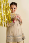 3 Piece Embroidered Net Suit