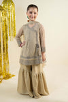 3 Piece Embroidered Net Suit