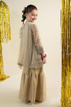 3 Piece Embroidered Net Suit