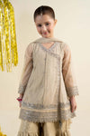 3 Piece Embroidered Net Suit