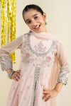 3 Piece Embroidered Net Suit