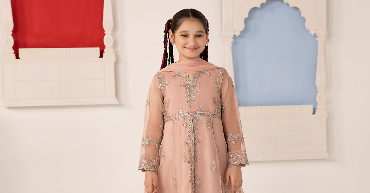 3 Piece Embroidered Organza Suit