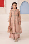 3 Piece Embroidered Organza Suit