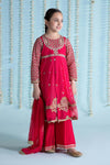 3 Piece Embroidered Net Suit