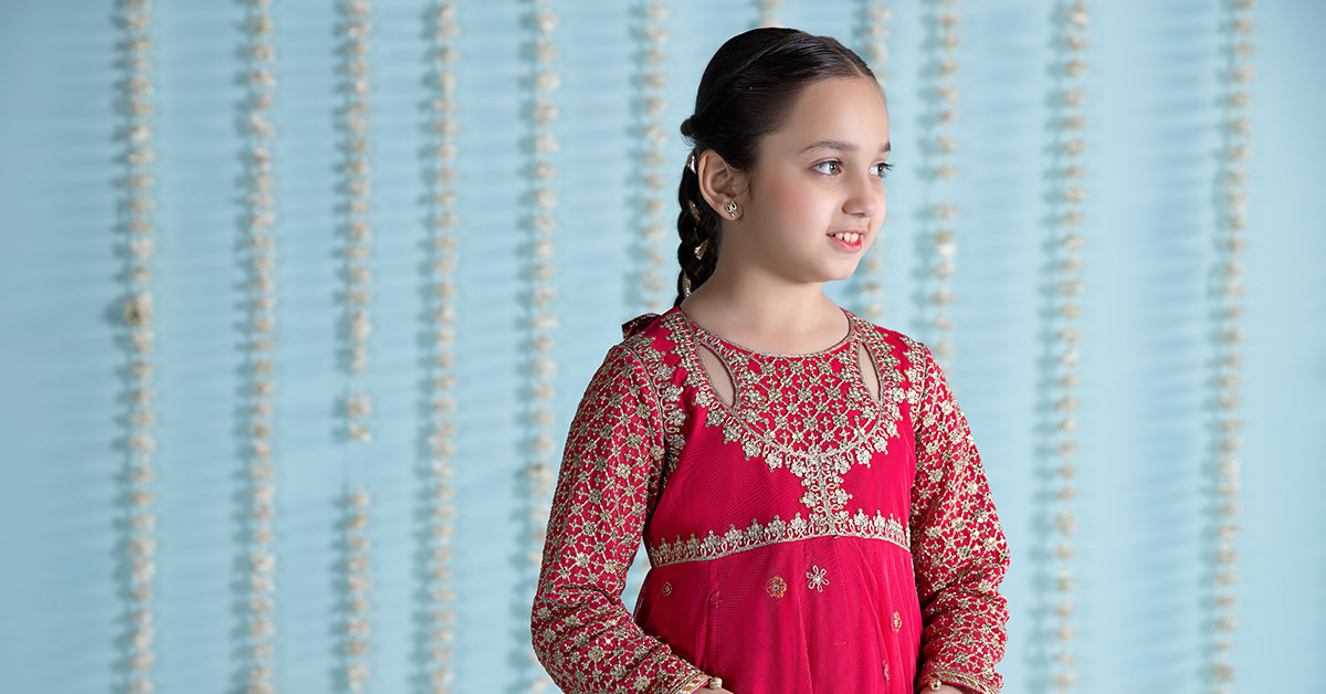 3 Piece Embroidered Net Suit | MKS-EA24-02