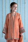 3 Piece Embroidered Paper Cotton Suit