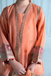 3 Piece Embroidered Paper Cotton Suit