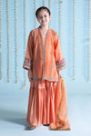 3 Piece Embroidered Paper Cotton Suit