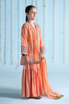 3 Piece Embroidered Paper Cotton Suit