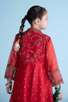 3 Piece Embroidered Lurex Organza Suit
