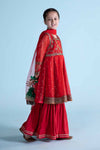 3 Piece Embroidered Lurex Organza Suit