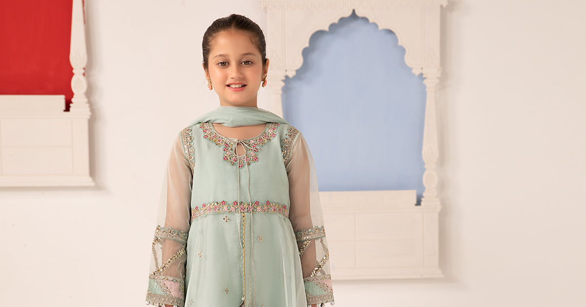 3 Piece Embroidered Organza Suit