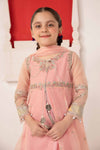 3 Piece Embroidered Organza Suit