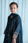 3 Piece Embroidered Yarn Dyed Suit