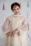 3 Piece Embroidered Organza Suit