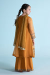 3 Piece Embroidered Organza Suit