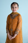 3 Piece Embroidered Organza Suit