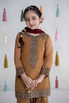 3 Piece Embroidered Organza Suit