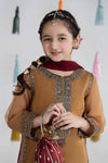 3 Piece Embroidered Organza Suit
