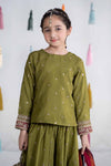 3 Piece Embroidered Bamber Raw Silk Suit