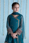 3 Piece Embroidered Net Suit