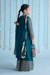 3 Piece Embroidered Net Suit