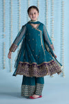 3 Piece Embroidered Net Suit