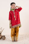 3 Piece Embroidered Raw Silk Suit