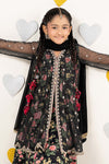 4 Piece Embroidered Net Suit