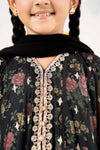 4 Piece Embroidered Net Suit