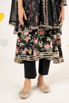 4 Piece Embroidered Net Suit