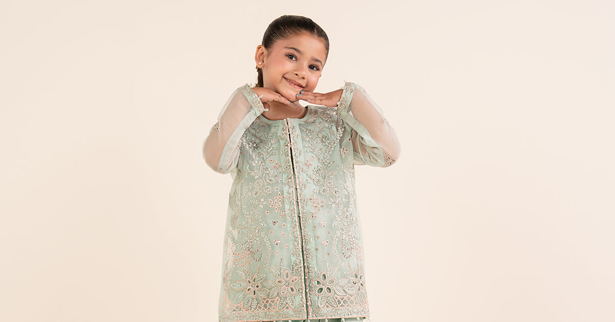 2 Piece Embroidered Organza Suit