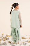 2 Piece Embroidered Organza Suit