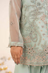 2 Piece Embroidered Organza Suit