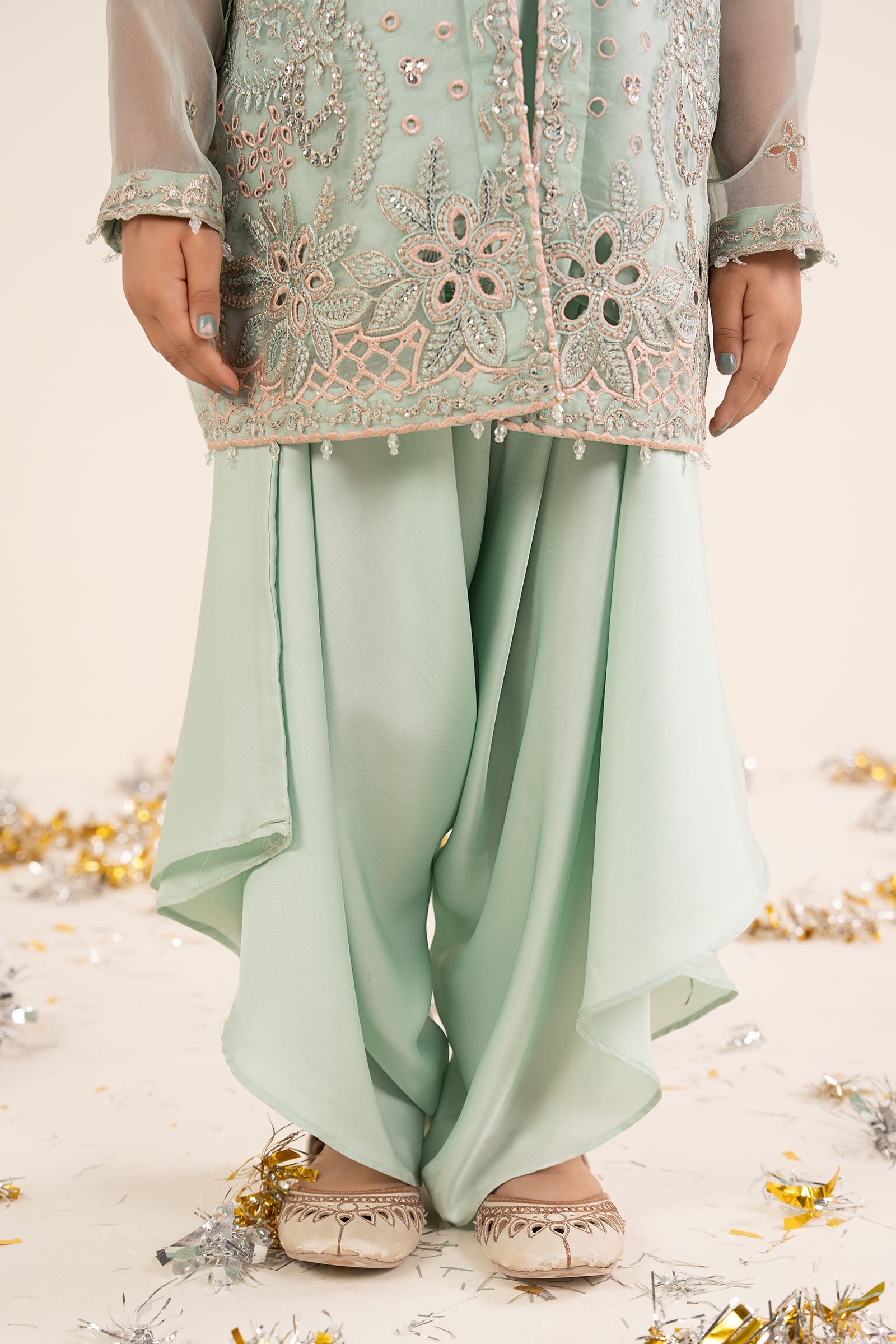 2 Piece Embroidered Organza Suit