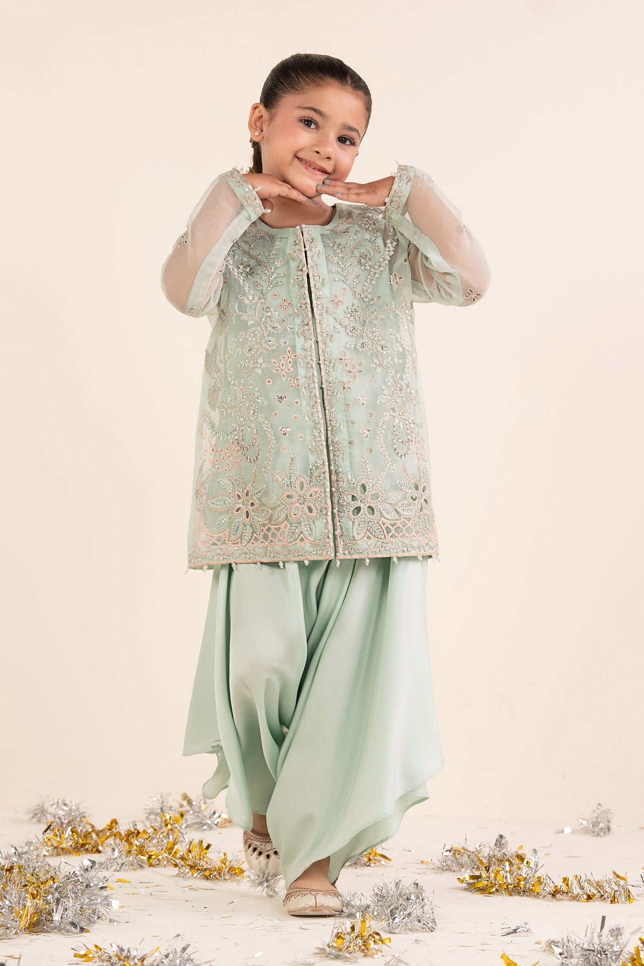 2 Piece Embroidered Organza Suit