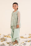 2 Piece Embroidered Organza Suit