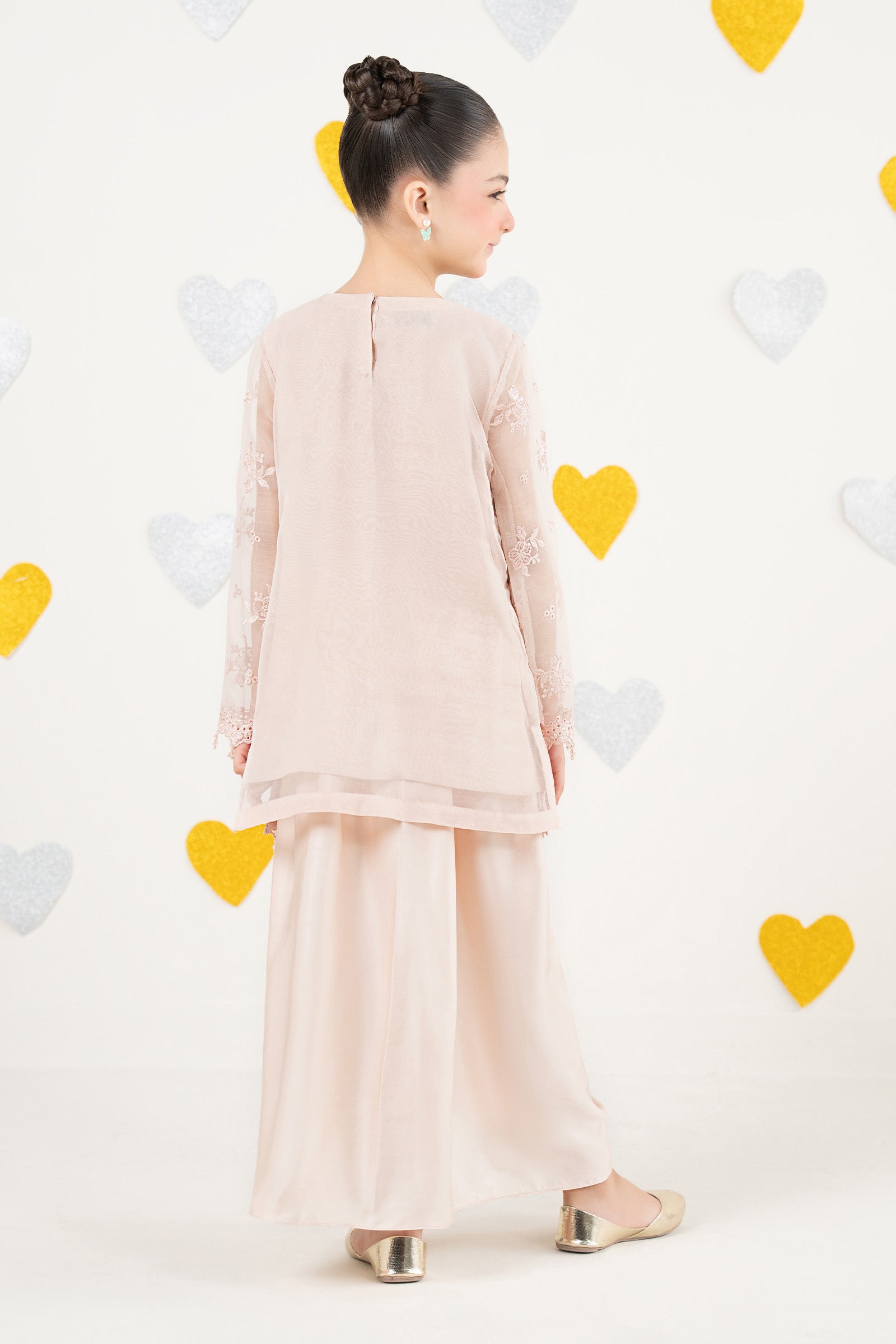 2 Piece Embroidered Organza Suit