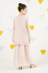 2 Piece Embroidered Organza Suit