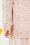 2 Piece Embroidered Organza Suit