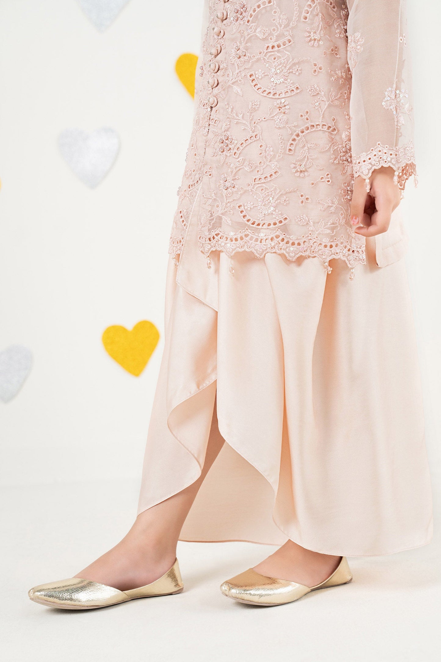 2 Piece Embroidered Organza Suit