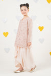 2 Piece Embroidered Organza Suit