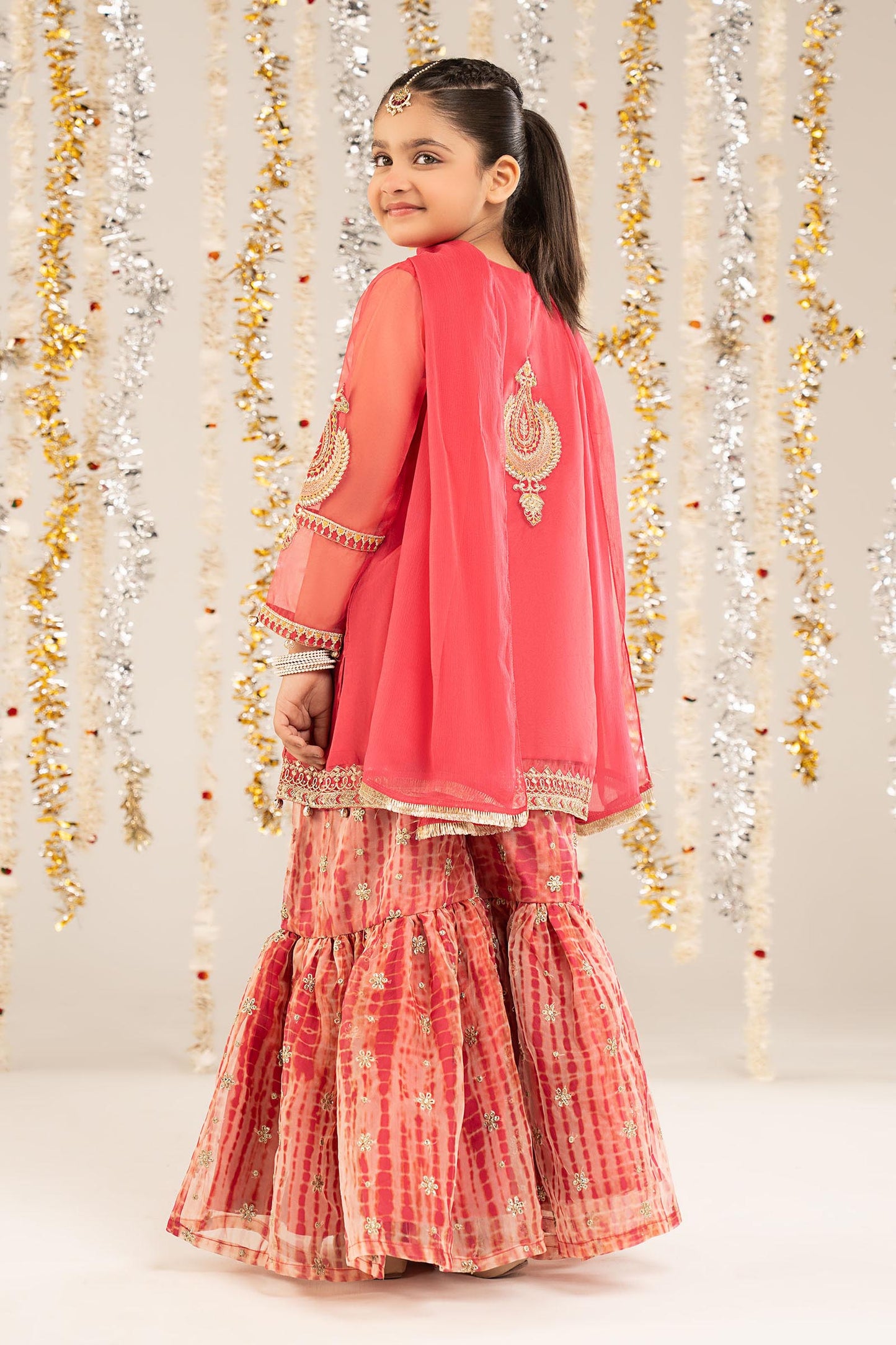 2 Piece Embroidered Organza Suit