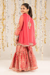 2 Piece Embroidered Organza Suit
