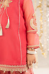 2 Piece Embroidered Organza Suit