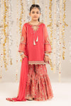 2 Piece Embroidered Organza Suit