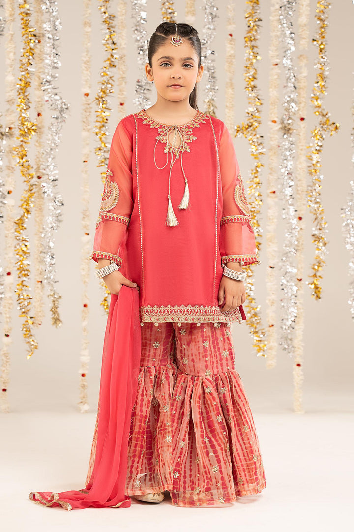 2 Piece Embroidered Organza Suit All Products MS224R1-023-PNK