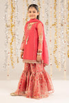 2 Piece Embroidered Organza Suit