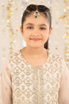 2 Piece Embroidered Organza Suit