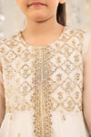 2 Piece Embroidered Organza Suit